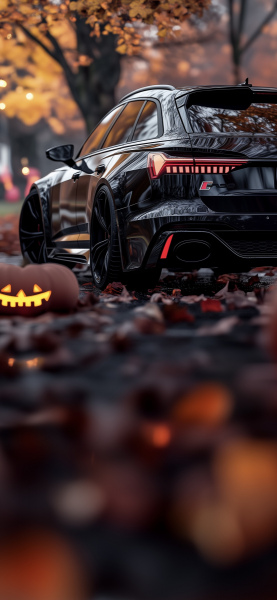 RS6_2